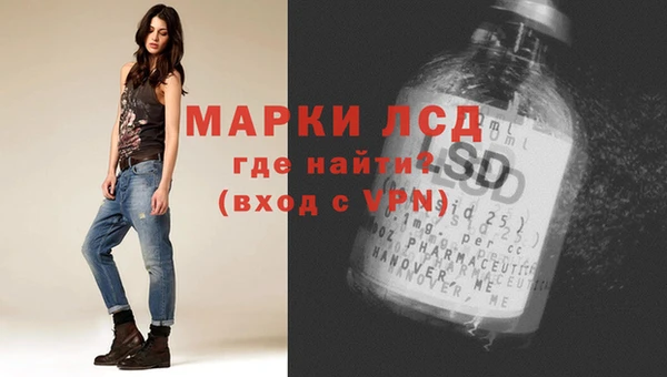 индика Алзамай