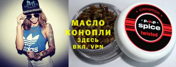 гашик Михайлов