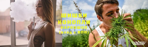 индика Алзамай