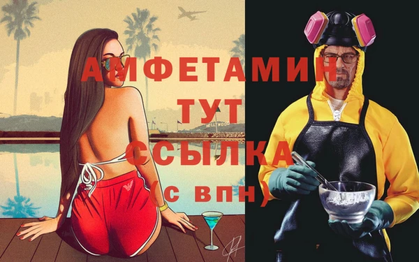 гашик Михайлов