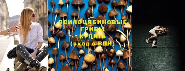 дурь Михайловск